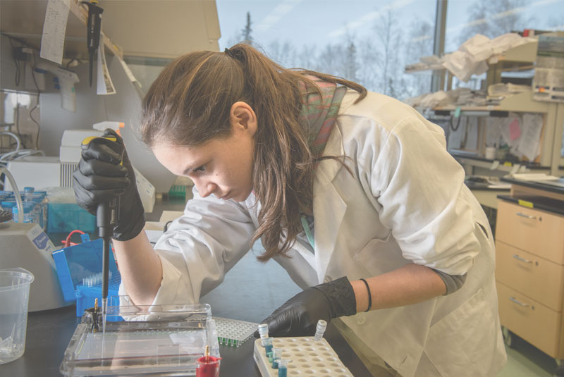 playtime casino gcash